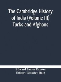 bokomslag The Cambridge history of India (Volume III) Turks and Afghans