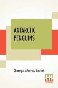 bokomslag Antarctic Penguins