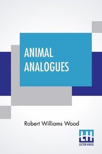 bokomslag Animal Analogues