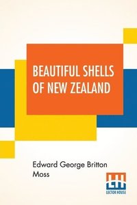 bokomslag Beautiful Shells Of New Zealand