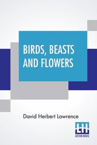 bokomslag Birds, Beasts And Flowers