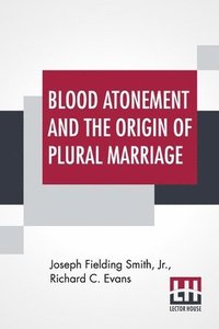 bokomslag Blood Atonement And The Origin Of Plural Marriage