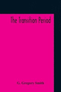bokomslag The Transition Period