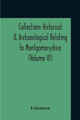 Collections Historical & Archaeological Relating To Montgomeryshire (Volume VI) 1