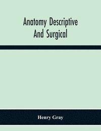 bokomslag Anatomy Descriptive And Surgical