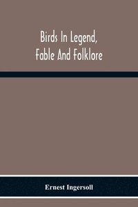 bokomslag Birds In Legend, Fable And Folklore