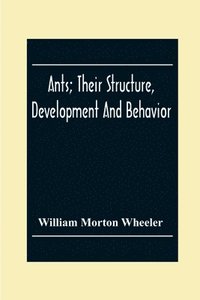 bokomslag Ants; Their Structure, Development And Behavior