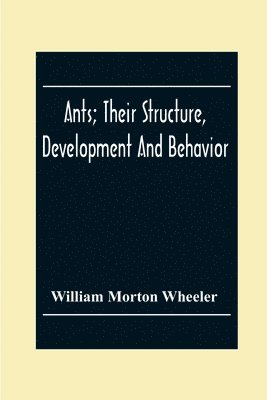 bokomslag Ants; Their Structure, Development And Behavior
