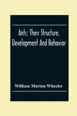 Ants; Their Structure, Development And Behavior