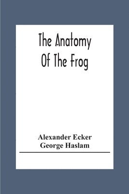 bokomslag Anatomy Of The Frog