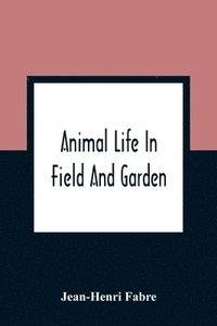 bokomslag Animal Life In Field And Garden