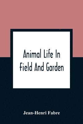 Animal Life In Field And Garden 1