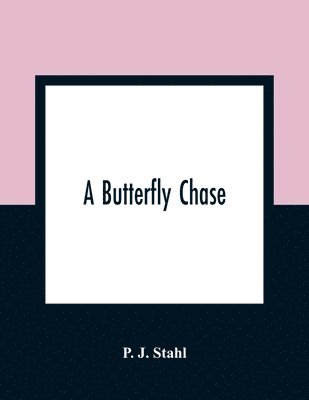 Butterfly Chase