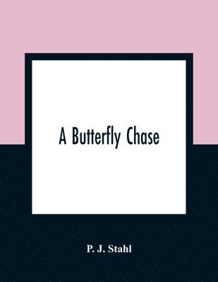 A Butterfly Chase 1