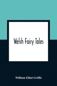 bokomslag Welsh Fairy Tales