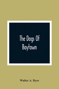 bokomslag The Dogs Of Boytown