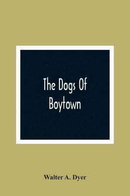 bokomslag The Dogs Of Boytown