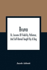 bokomslag Bruno; Or, Lessons Of Fidelity, Patience, And Self-Denial Taught By A Dog