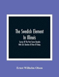 bokomslag Swedish Element In Illinois