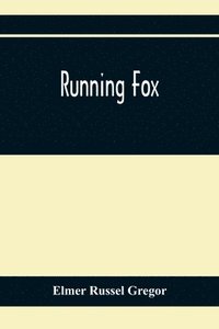 bokomslag Running Fox