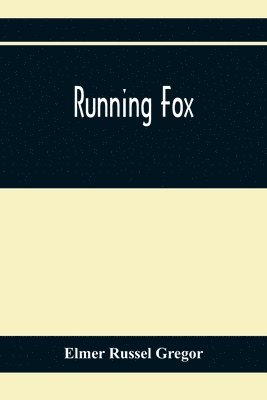 bokomslag Running Fox