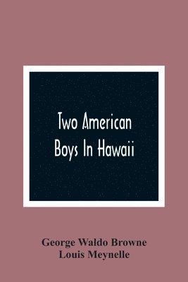 bokomslag Two American Boys In Hawaii