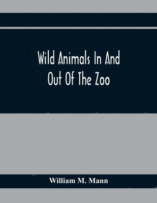 Wild Animals In And Out Of The Zoo 1