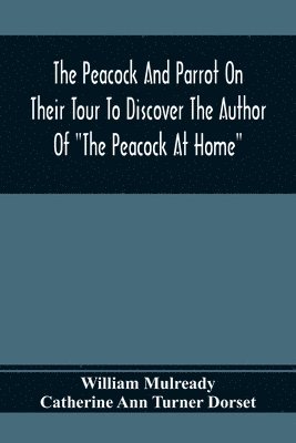 The Peacock And Parrot On Their Tour To Discover The Author Of The Peacock At Home 1