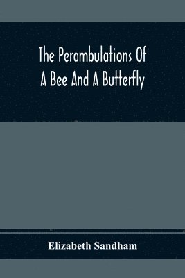 bokomslag The Perambulations Of A Bee And A Butterfly