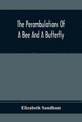 Perambulations Of A Bee And A Butterfly