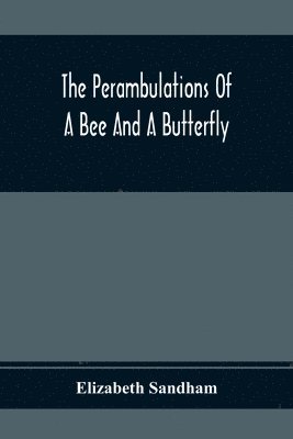 The Perambulations Of A Bee And A Butterfly 1