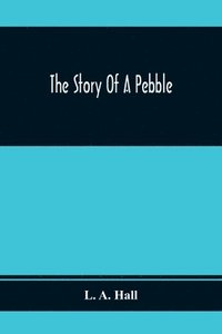 bokomslag The Story Of A Pebble