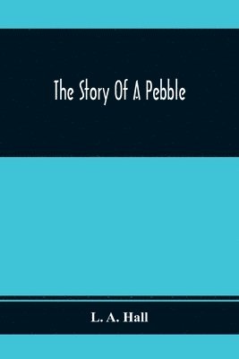 bokomslag Story Of A Pebble