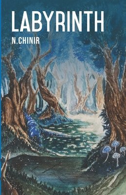 N Chinir, N. Chinir - Labyrinth, Häftad
