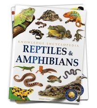 bokomslag Animals: Reptiles and Amphibians