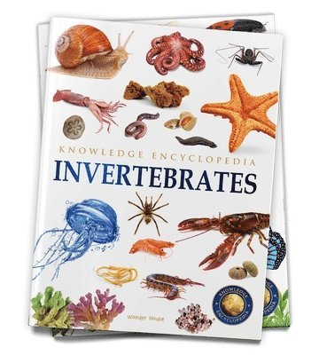 Wonder House Books - Animals - Invertebrates, Häftad