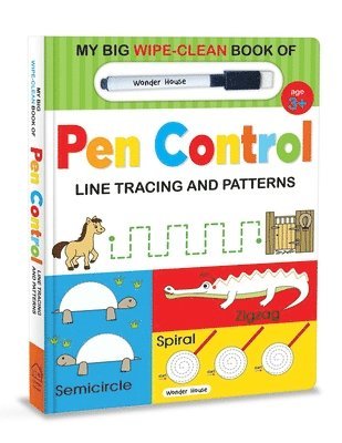 bokomslag My Big Wipe and Clean Book of Pen Control for Kids