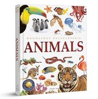 bokomslag Knowledge Encyclopedia: Animals