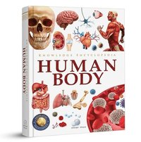 bokomslag Knowledge Encyclopedia: Human Body