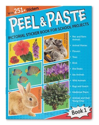 bokomslag Peel & Paste: Book 1: Pictorial Sticker Book