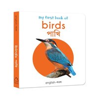 bokomslag My First Book of Birds