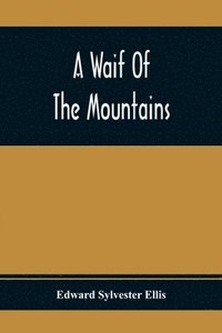 bokomslag Waif Of The Mountains