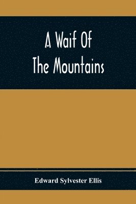 bokomslag Waif Of The Mountains