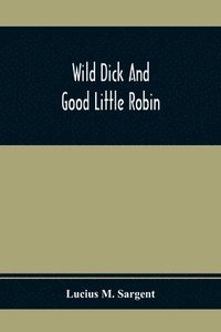 bokomslag Wild Dick And Good Little Robin