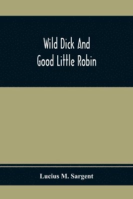 bokomslag Wild Dick And Good Little Robin