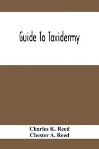 bokomslag Guide To Taxidermy