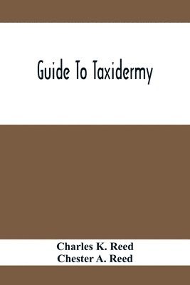 bokomslag Guide To Taxidermy