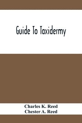 Guide To Taxidermy 1