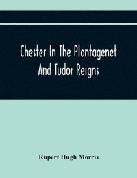 bokomslag Chester In The Plantagenet And Tudor Reigns