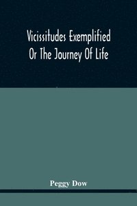 bokomslag Vicissitudes Exemplified; Or The Journey Of Life